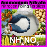 Ammonium Nitrate/ Nitrogen Fixing Fertilizer/High Water Soluble/500g/1000g/Preferred Choice