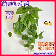 Minxiong Shipment Green Dill Simulation Plant Wall-Mounted Vines Fake Home Decoration Wall Vine Hang