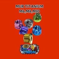 TITANIUM GR5 M5/M6/M8/M10 ORIGINAL TITANIUM GR5
