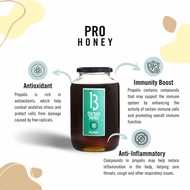 [13 Honey] Pro Honey