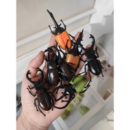 Funny Tricky Beetle Hairpin Rare Weird Hairpin Horned Fairy Long Halberd Big Beetle Big Flat Shovel 