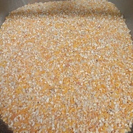 Jagung Makanan Ayam Jagung Burung Gred C Jagung Makanan Haiwan Ternakan Ayam Burung Jagung Halus Gre