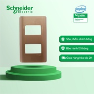 Face for 2 Schneider A8402S_SZ_G19 size S copper devices mounted on 2 1M size devices