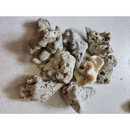 BATU KARANG LAUT UNTUK HIASAN AQUARIUM  500g 1000g