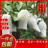 Mesh Bag Guava Bagging Guava Insect-Proof Bag Fruit Bag Fruit Protection Bag Thickened Integrated In