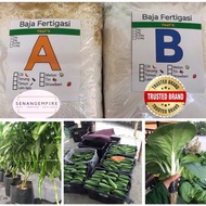 Set Baja AB 2Kg / 20L Fertigasi Hydroponic Sayur Daun Hidroponik Nutrient Fertilizer Hydroponics ( 100% ORIGINAL )