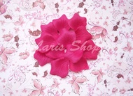 Rose Petal / Kelopak Mawar / Kelopak Bunga Fuchsia (Pink Fanta)