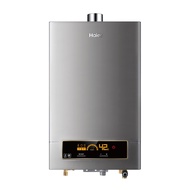 [特價]【Haier 海爾】13L智能恆溫強制排氣熱水器DC5(JSQ25-13NG2/FE 基本安裝)