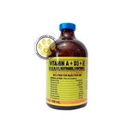 NUTRIVET Vitamin ADE + Vitamin B Complex (100 ml) | Vitamin ADE + Vitamin B Complex + Liver Extract