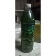 Starter Air Chlorella/Air Hijau