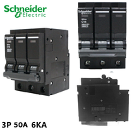 เบรกเกอร์ Schneider Square D ของแท้ รุ่น C-Series 1P–3P (10A/16A/25A/32A/50A) รองรับไฟ 240/415V ค่าท