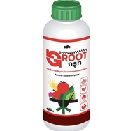 กรูท ( Groot )