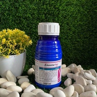 Fungisida Amistar Top 325sc 250ML