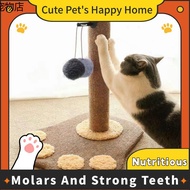 dog ♗READY STOCK Cat Scratch Play Bed Toy Kucing Scratcher Cat Tree❃
