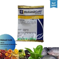 Fungisida Ridomil Gold Syngenta