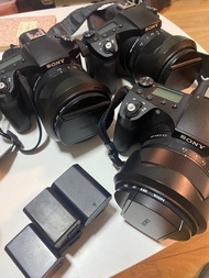 追星相機 租相機 Sony Rx10m4 Lingorm 香港 拉闊 門票 租鏡頭 租單反