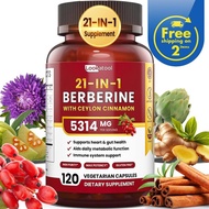 Suplemen Berberine dengan Kayu Manis Ceylon - 1500mg Phytosome Berberine HCL Organik, Penyerapan 5X 