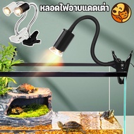 Turtle Sunbathing Light Bulb Calcium Supplement Creates A Natural Environment.