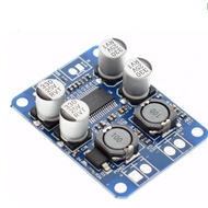 Mono Digital Audio Amplifier TPA3118 60W 1x60W TPA 3118 [Alfa]