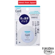 Kao Curel Lip Care Balm 4.2g Japanese Lip Care [Made in Japan] [Direct from Japan]