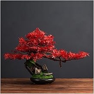 Home Office Artificial Bonsai Tree Articial Bonsain Tree Artificail Plants Potted Tree 25cm in Width Artificial House Plants Maple Tree Bonsai Fake Plant (Color : A)