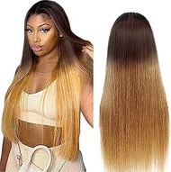 AiPliantfis Straight Human Hair Wig Blonde 4x4 Lace Front 1B4/27 Ombre Glueless Human Hair with Natu