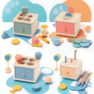 Montessori Children's Toys Early Education Color Cognition Classification Toys 1 Year Old 2 Year Old