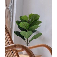 Plastic / Fake Fiddle Leaf Fig Plants