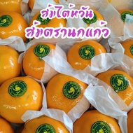 ส้มไต้หวัน ตรานกแก้ว Size XL ส้มแมนดาริน ไต้หวัน Mandarin Orange (ยกลัง6-7KG/ไซส์XL/30-36ลูก) ส้มพัน