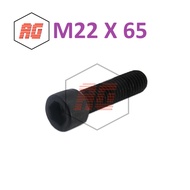 L-BOLT / HEX SOCKET HEAD CAP SCREW M22 X 65