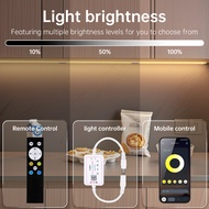 CCT LED Remote Controller With Bluetooth Control 3500K-6000K Dimmable NO LED Included