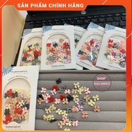 (FULL Set) Cute Bow Short Nails Accessories - Bow Nails sticker