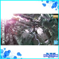 MG GUNDAM VIRTUE 1/100 GUNDAM 00 BANDAI GUNPLA