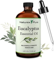 ▶$1 Shop Coupon◀  Eucalyptus Essential Oil 4 oz (118 ml) | Pure &amp; Natural Aromatherapy Oils with Exc