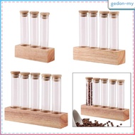[GedonMY] Coffee Bean Cellar, Single Dose Coffee Bean Storage Tube with Wooden Stand,