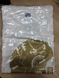 Hottoys ironman tee