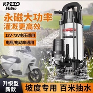 12V Pump DC Submersible Pump 24V48V60V72V Volt Agricultural Watering Vegetables Electric Battery Car