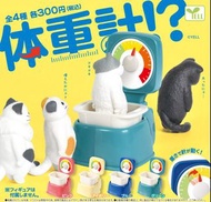❰扭蛋玩具街❱ ❰11月預購❱ ❰單售/一套4款❱ ❰日本扭蛋❱ Yell 彩色體重計