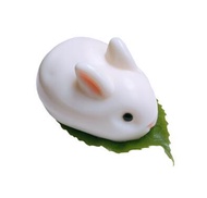 Net Red Rabbit Snowy Mooncake Mold Bunny Coconut Milk Jelly Silicone Pudding Mousse Cake Commercial Home