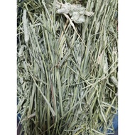 Chocoroco/Timothy Hay/提摩西草/Rumput Timothy 🌿 （1kg）