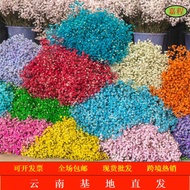 Gypsophila Preserved Flowers Gypsophila Dried Flowers Big Bouquet Yunnan Flowers