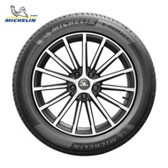 Michelin Electric Vehicle Tire 205/55R16 94V E PRIMACY ST Genuine Package Installation