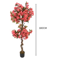 Pokok Bunga Kertas Bonsai Peach Hiasan / Premium Artificial Bougainvillea Peach Bonsai tree Flower D