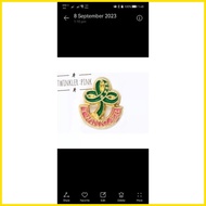 ✒ ◲ ◄ PIN FOR GSP(TWINKLER,JUNIOR,STAR AND SENIOR PIN)