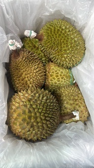 馬來西亞空運AA貓山王