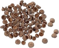 Ciieeo 200 Pcs Natural Acorn Shell Ornament Set, Dried Flower Art Photo Props for Crafting, Wedding,