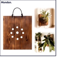 MUNDAN Staghorn Fern Mounting Board, Wood Hanging Staghorn Fern Board,  Wall Mounted Perforated Boar