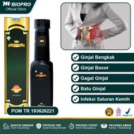 Obat Ginjal Herbal Paling Ampuh Ginjal Bocor Gagal Ginjal Infeksi Ginjal Kista Ginjal Ginjal Bengkak