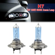 【HE NEW】2pcs White 12V H7 100W 6000K Xenon Lamp  Bright Halogen Car Headlight Bulbs