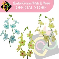 Blossom Bunch Filler Sprays Edible Cake Topper Gumpaste edible Flowers sugar flowers edible flower